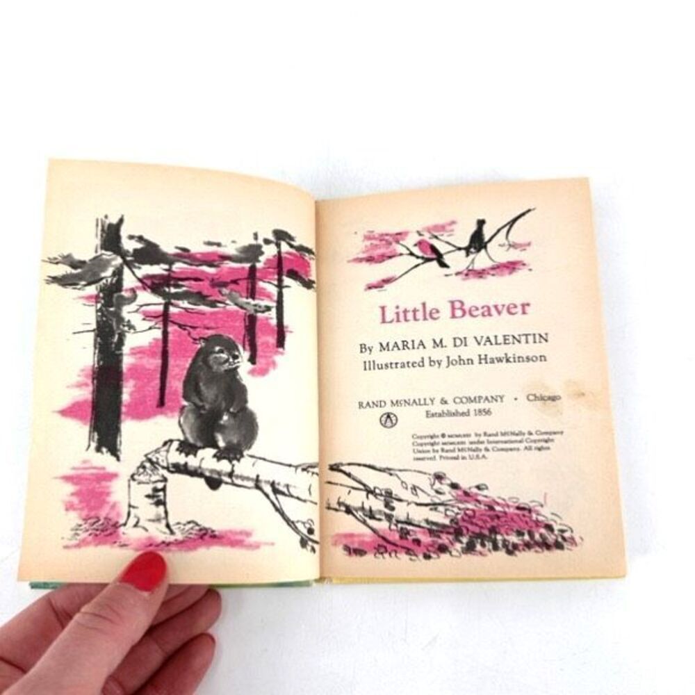 Vintage Junior Elf Book Little Beaver Nonfiction Childrens Learning Rand McNally - Picture 4 of 11